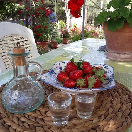 Holiday home Phaistos Mitropolis (Crete)