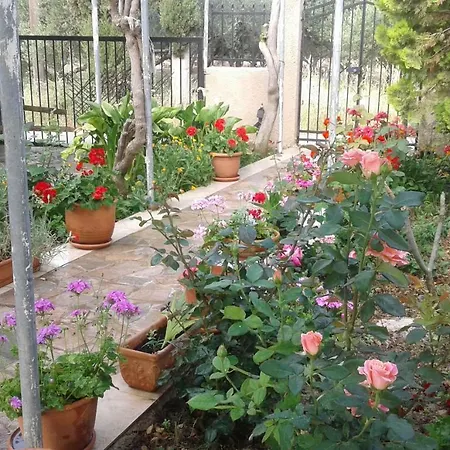 Phaistos Holiday home
